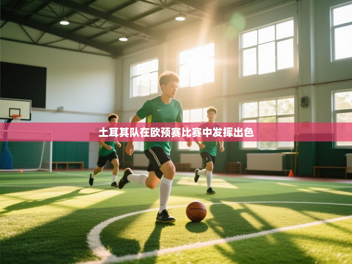 蓝鲸体育网页版-土耳其队在欧预赛比赛中发挥出色