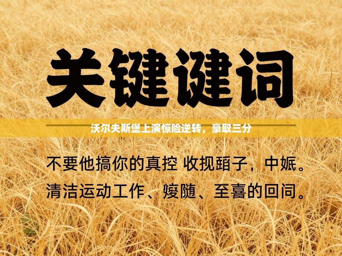 蓝鲸体育电脑版下载官网-沃尔夫斯堡上演惊险逆转，豪取三分