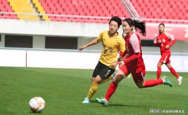 精彩巅峰对决：女足赛场上演精彩一幕的简单介绍